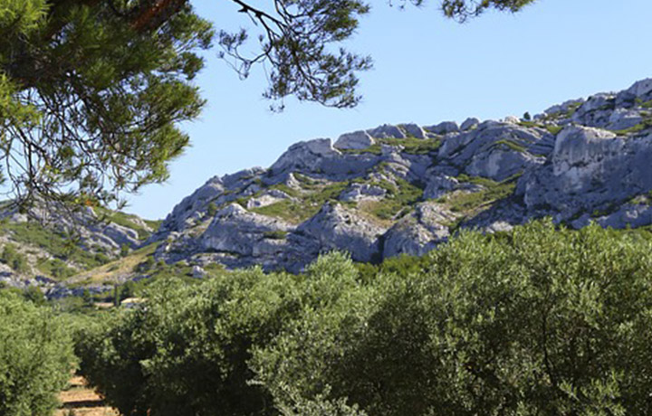 Theme stays in les Arpilles