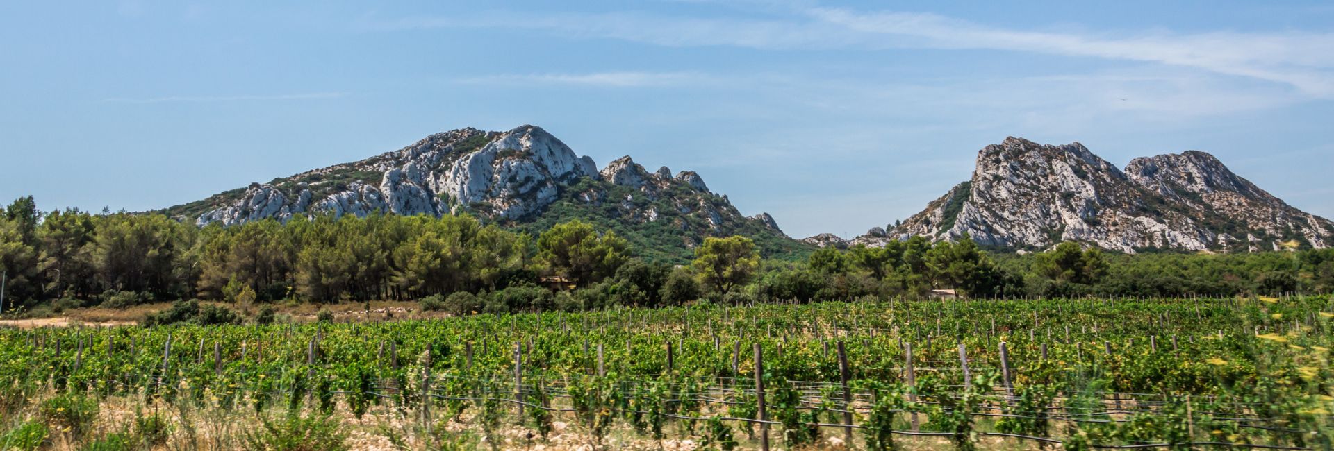 parc naturel regional alpilles