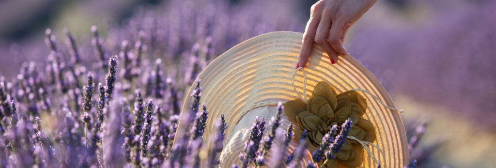 3 Bonnes Raisons de Choisir la Provence comme Destination de Vacances