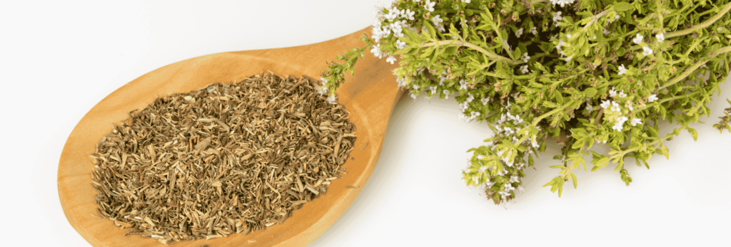 Découvrez les secrets du thym de Provence : ses bienfaits, ses usages culinaires et médicinaux. Plongez dans l’arôme authentique de la Provence !