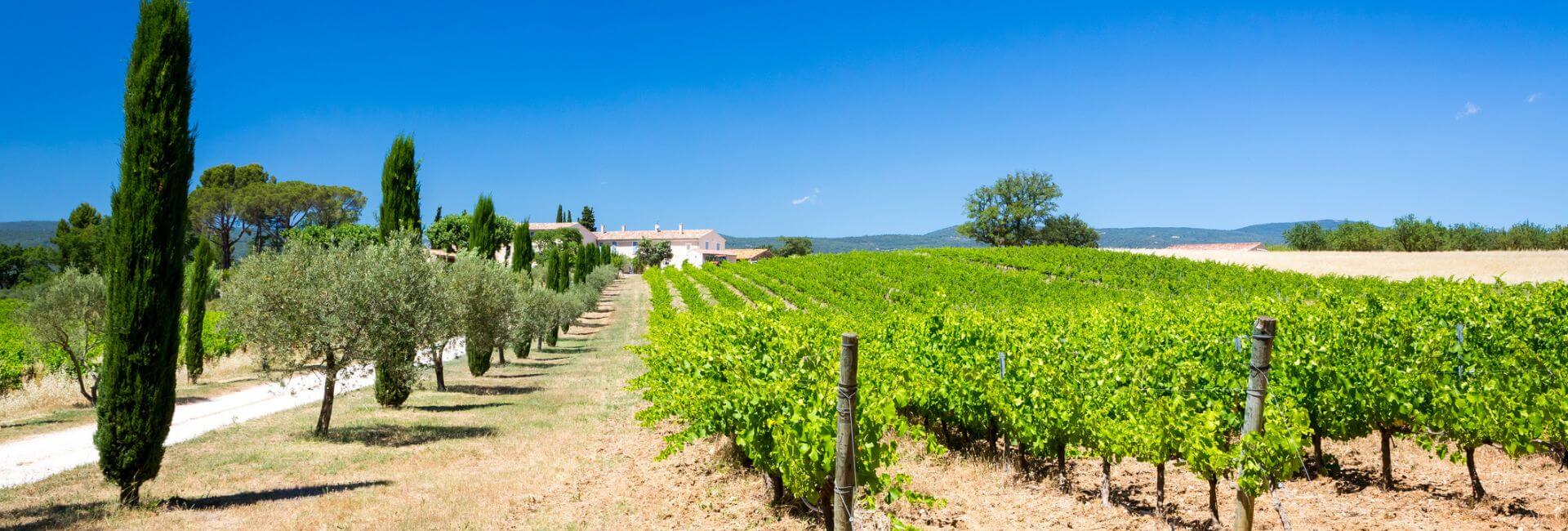 vin de provence