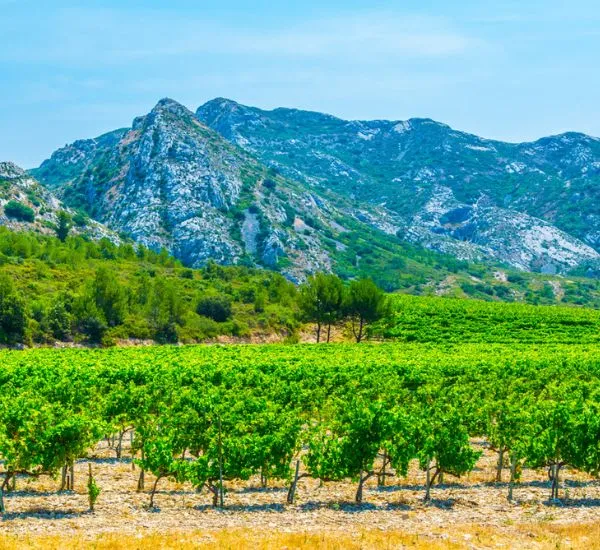 visiter les alpilles vacances