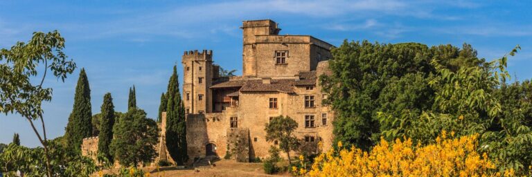 chateau-de-vaucluse.jpg