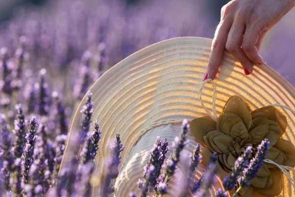3 Bonnes Raisons de Choisir la Provence comme Destination de Vacances