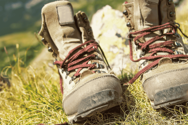 Explorez les joyaux naturels des Alpilles et du Luberon