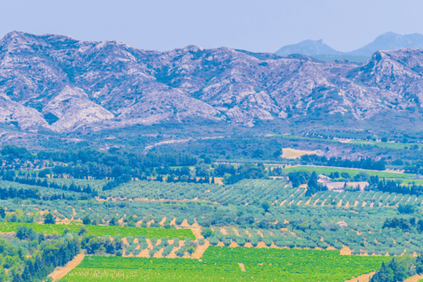 Le massif des Alpilles