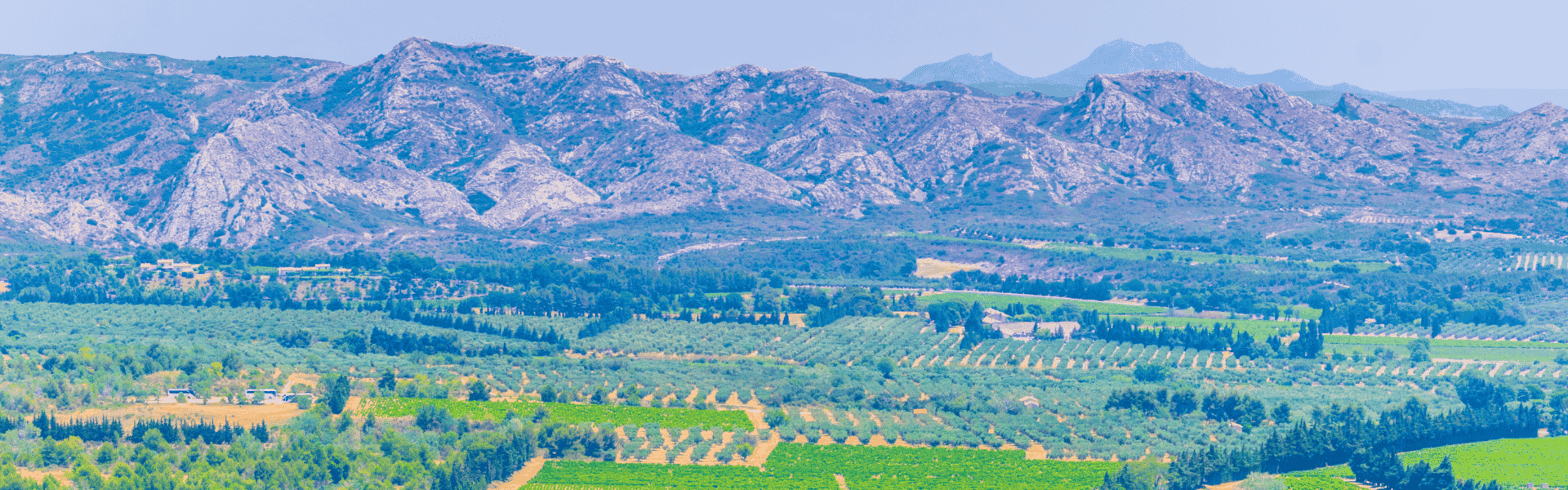 Le massif des Alpilles