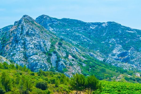 Maussane les Alpilles