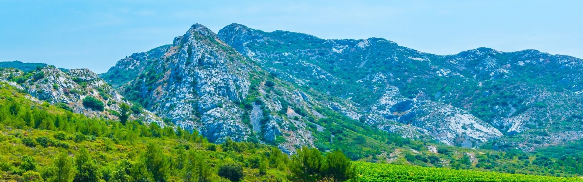 Maussane les Alpilles