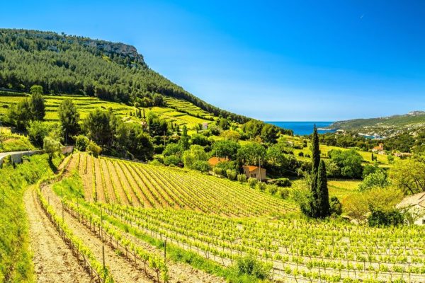 Provence-de-10-jours.jpg