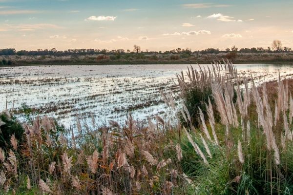 Séjour en Camargue