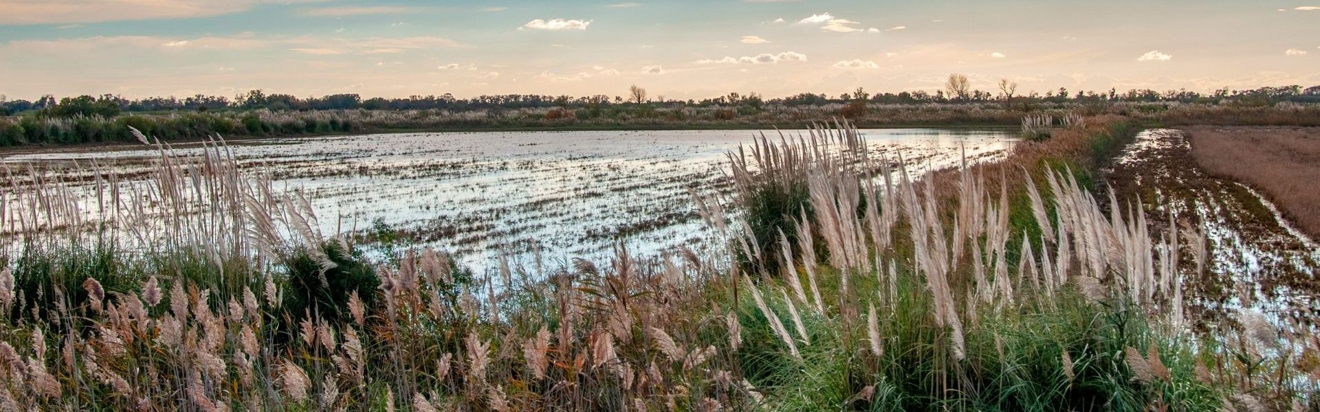 Séjour en Camargue