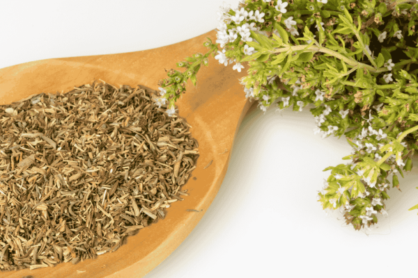Découvrez les secrets du thym de Provence : ses bienfaits, ses usages culinaires et médicinaux. Plongez dans l’arôme authentique de la Provence !