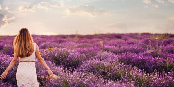 Photo of a young woman with arms outstretched walking down the lavender field, enjoying life