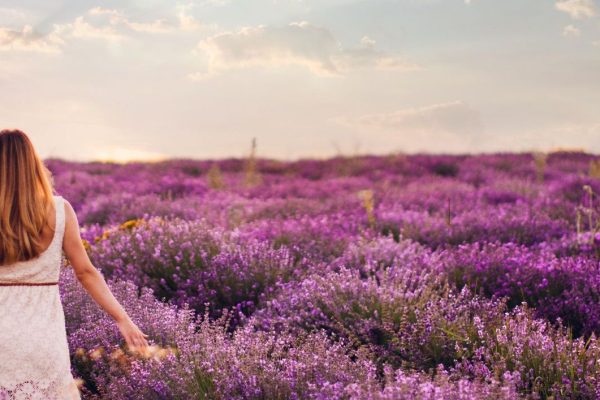 Photo of a young woman with arms outstretched walking down the lavender field, enjoying life