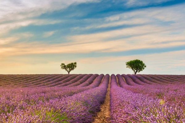 aller en provence