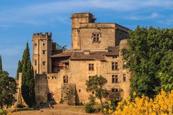 chateau-de-vaucluse.jpg