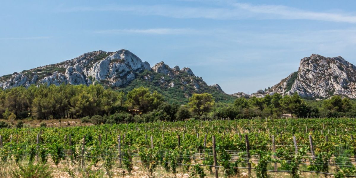 parc naturel regional alpilles