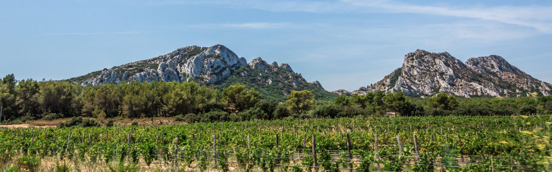 parc naturel regional alpilles