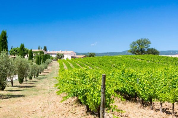 vin de provence