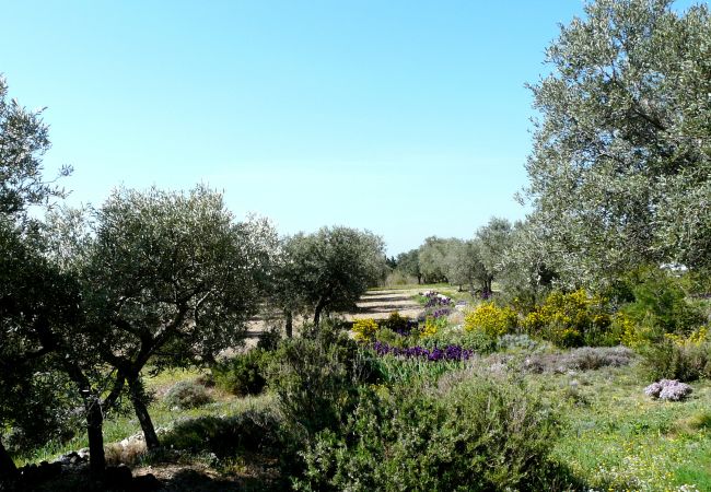 Villa in Mouriès - Vacation rental house with pool MOURIES LS1-174 Villa in Mouriès - Vacation rental house with pool MOURIES LS1-174