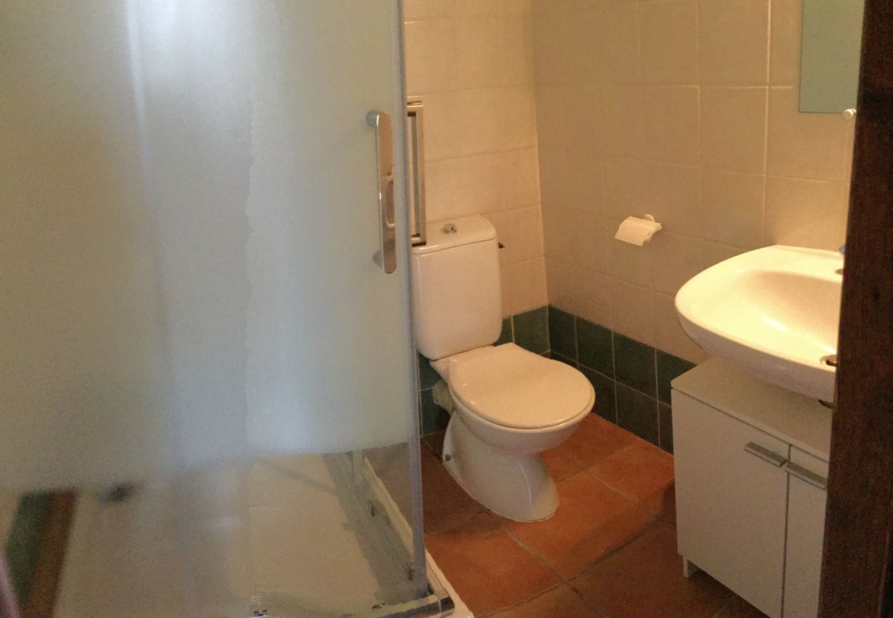 Villa in Bédarrides - Holiday rental with pool BEDARRIDES LS6-342.