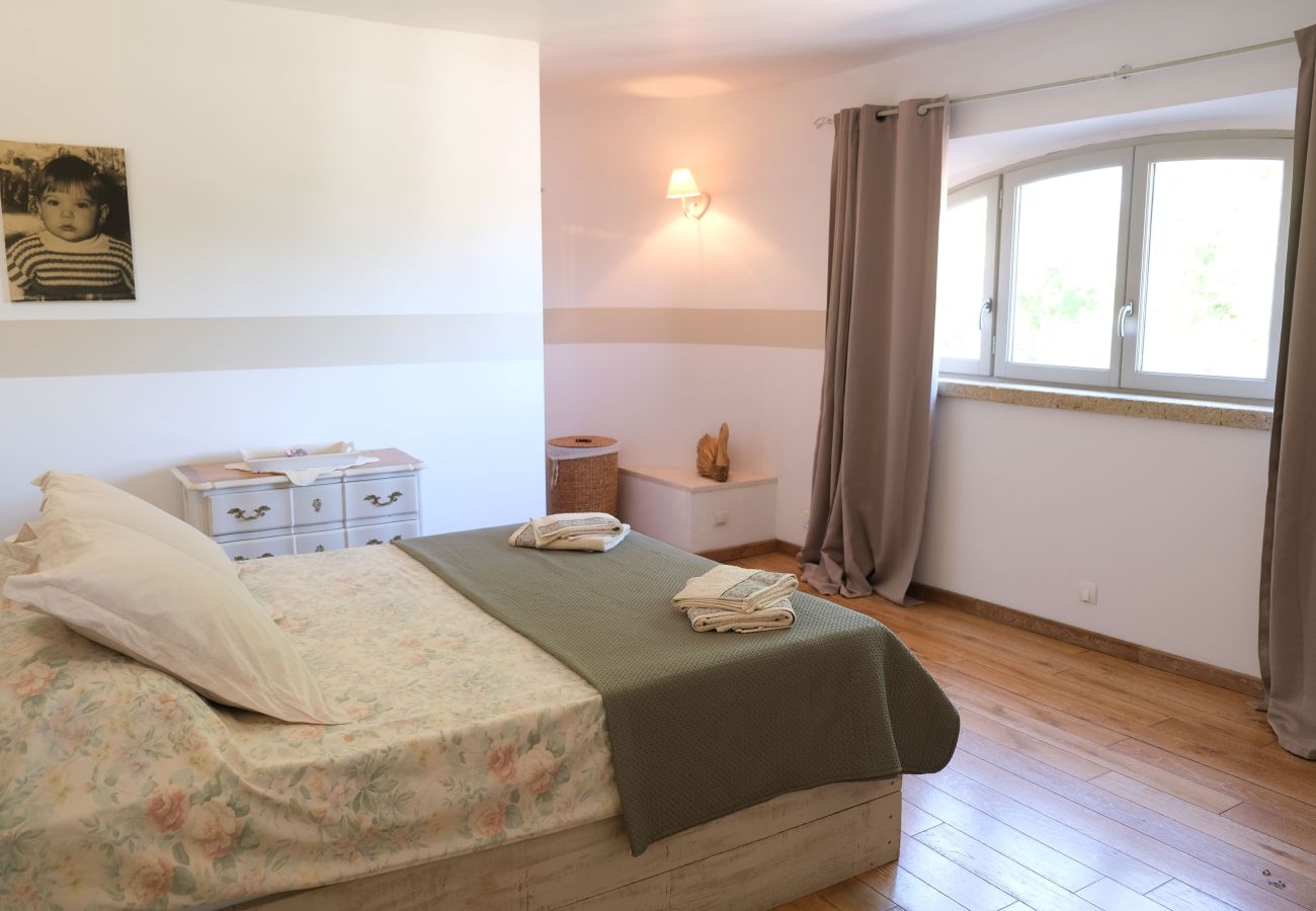 House in Taillades - Vacation rental house with pool TAILLADES LS2-352