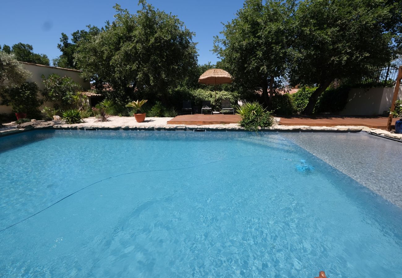 House in Taillades - Vacation rental house with pool TAILLADES LS2-352