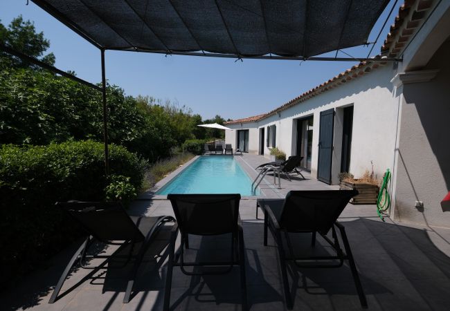 House in L´Isle sur la Sorgue - Vacation rental L'ISLE SUR LA SORGUE LS2-331 House in L´Isle sur la Sorgue - Vacation rental L'ISLE SUR LA SORGUE LS2-331