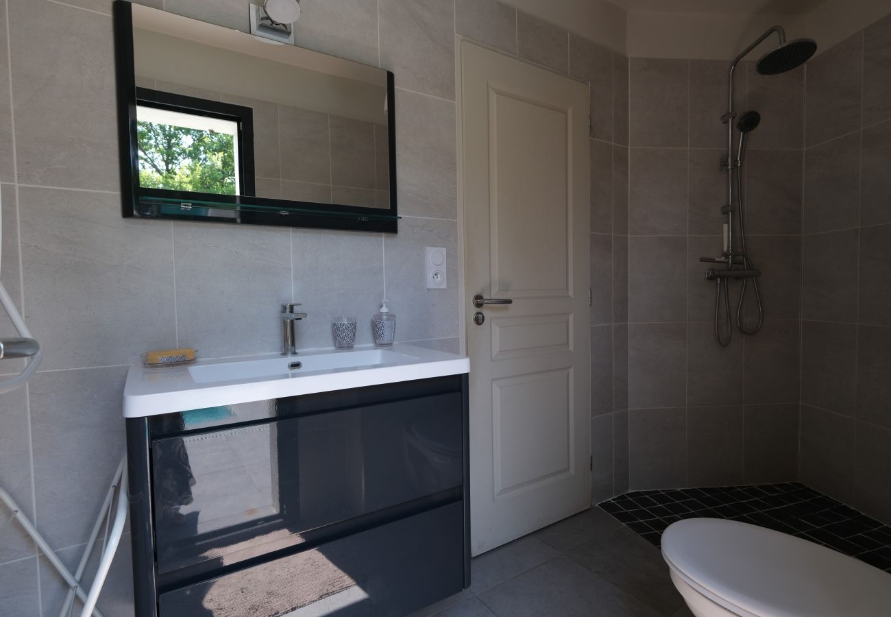House in L´Isle sur la Sorgue - Vacation rental L'ISLE SUR LA SORGUE LS2-331