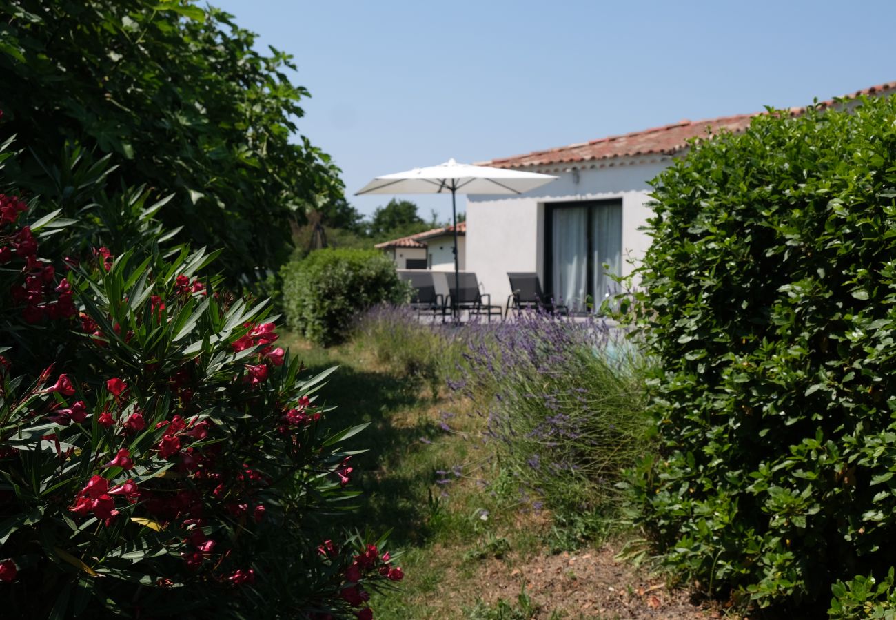 Holiday rental L'ISLE-SUR-LA-SORGUE house for rent 