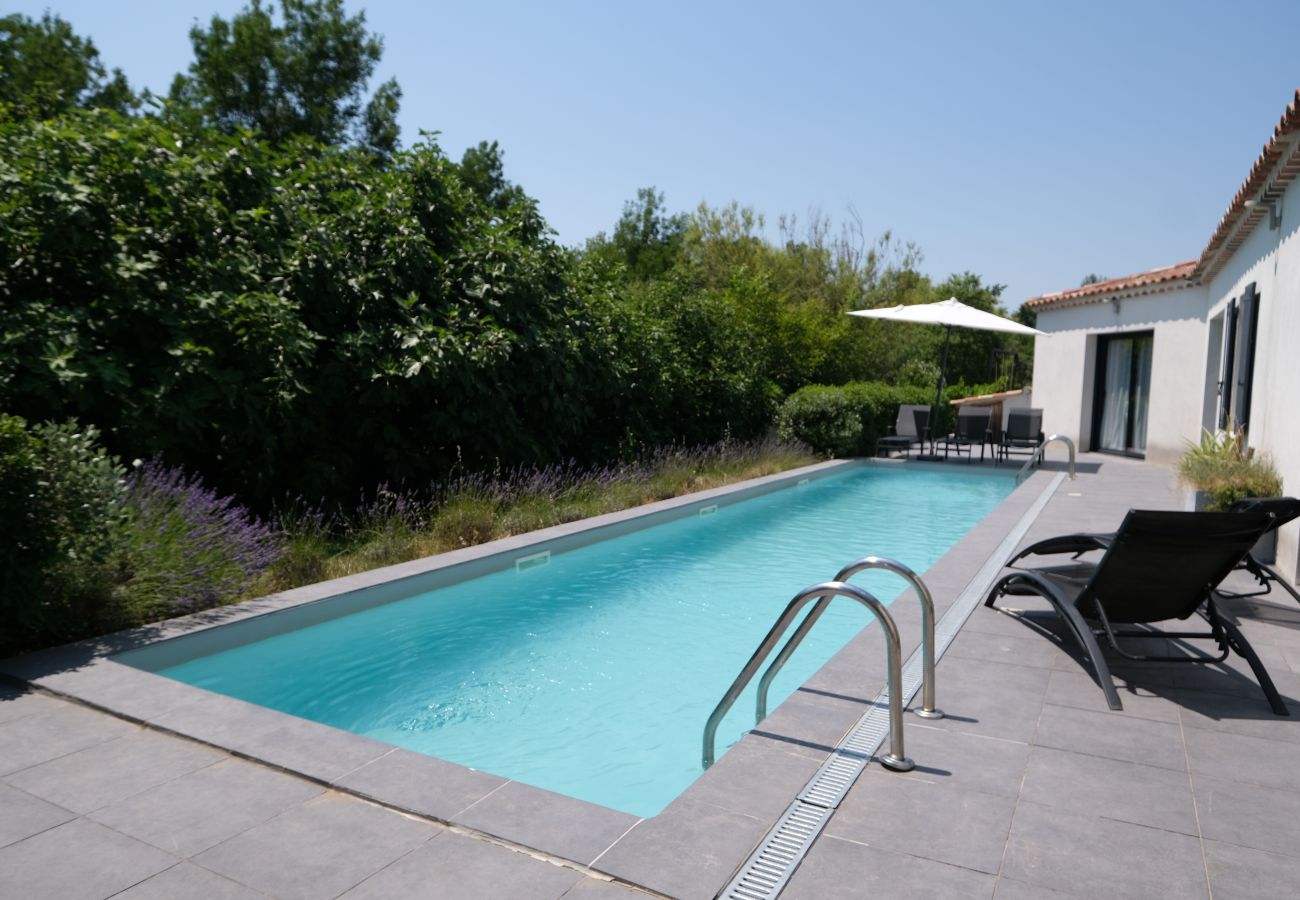 House in L´Isle sur la Sorgue - Vacation rental L'ISLE SUR LA SORGUE LS2-331