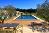 House in Cavaillon - Vacation rental house pool LES VIGNERES LS2-338 House in Cavaillon - Vacation rental house pool LES VIGNERES LS2-338