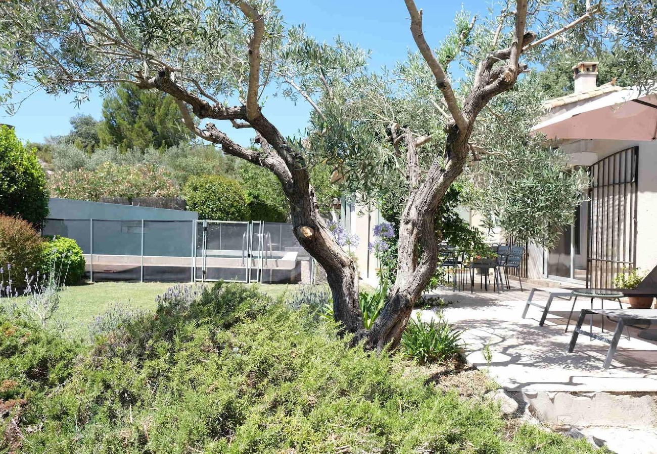 House in Aureille - Vacation rental house with pool AUREILLE LS1-406