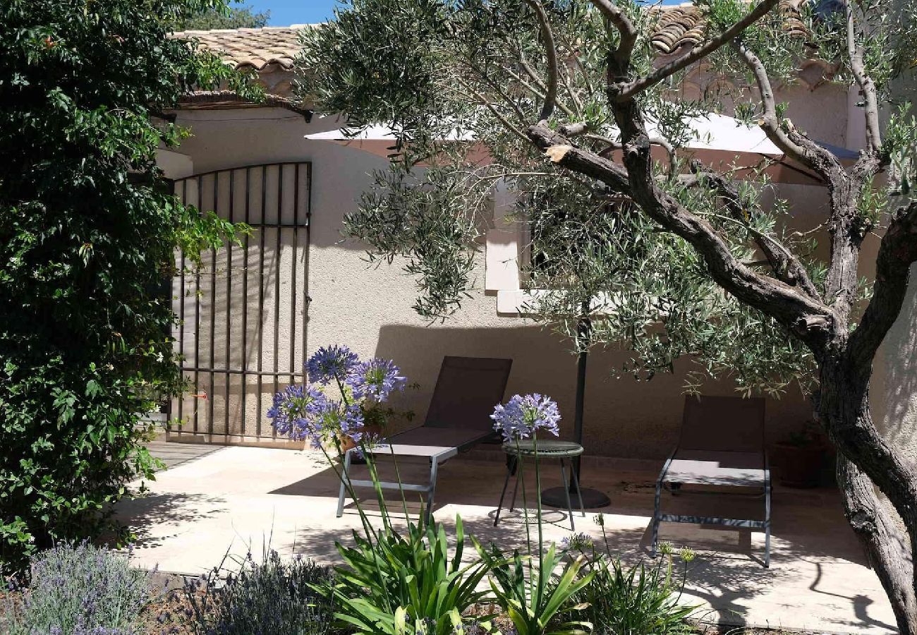 House in Aureille - Vacation rental house with pool AUREILLE LS1-406