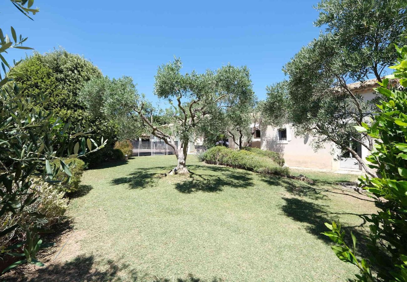 House in Aureille - Vacation rental house with pool AUREILLE LS1-406