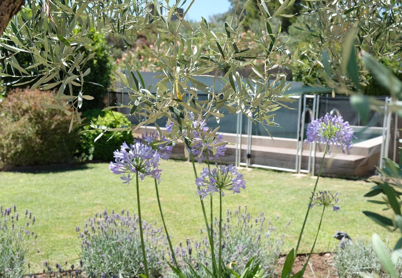 House in Aureille - Vacation rental house with pool AUREILLE LS1-406