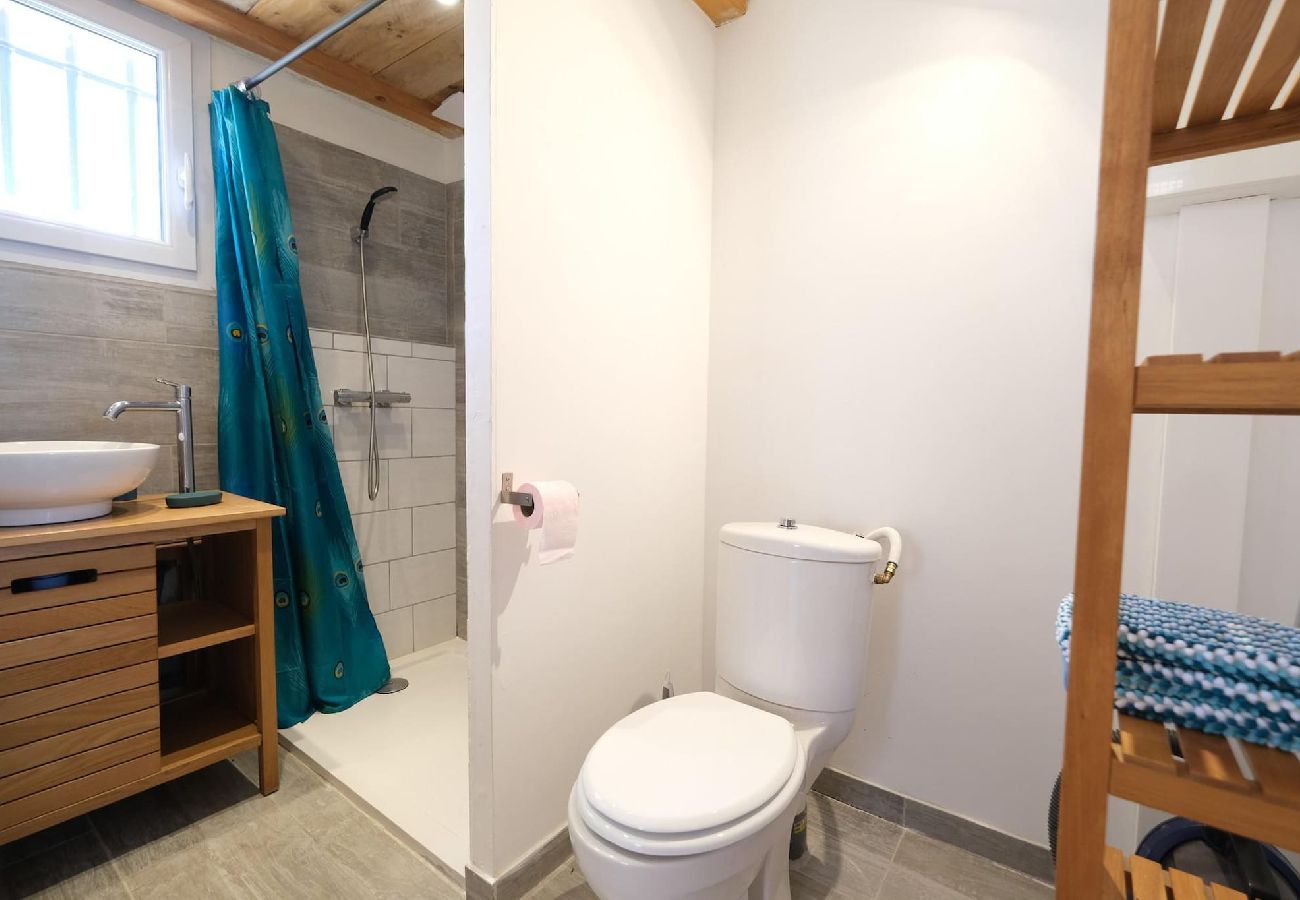 House in Aureille - Vacation rental house with pool AUREILLE LS1-406
