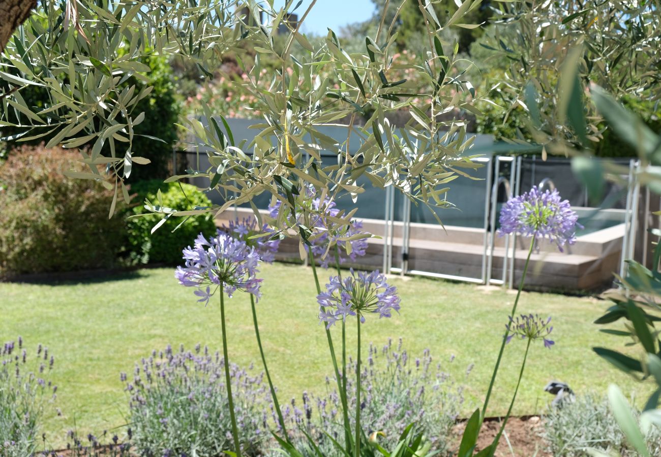 House in Aureille - Vacation rental house with pool AUREILLE LS1-406