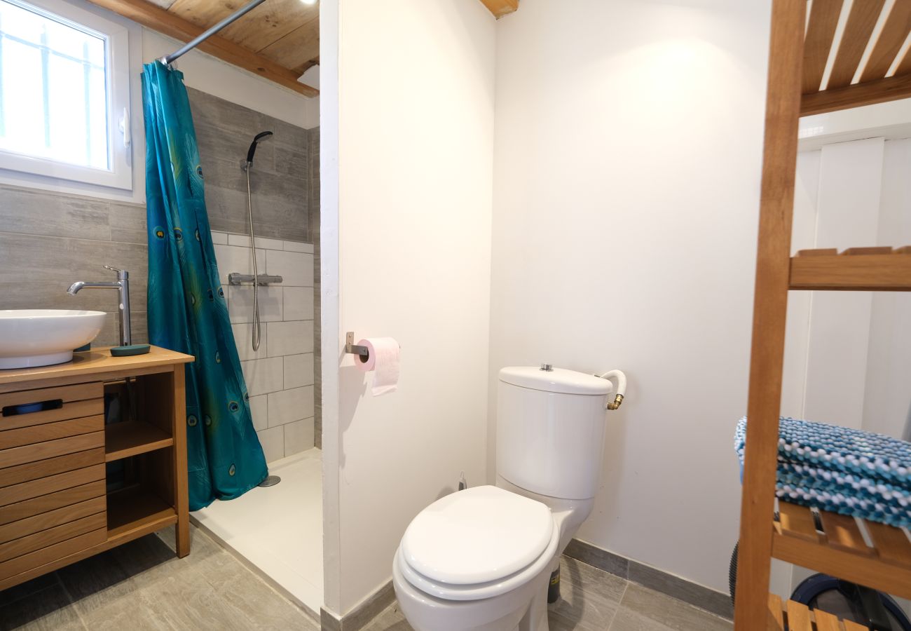 House in Aureille - Vacation rental house with pool AUREILLE LS1-406