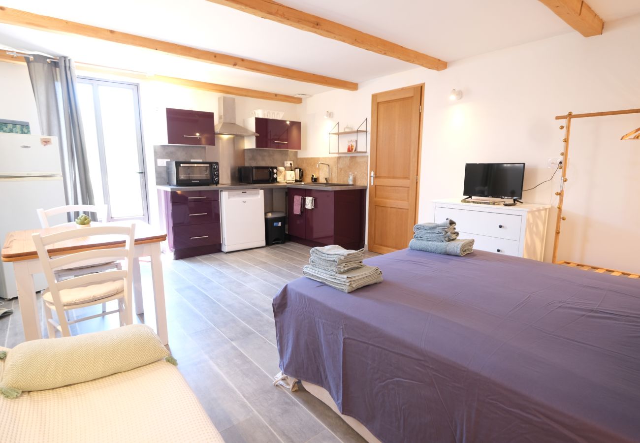 House in Aureille - Vacation rental house with pool AUREILLE LS1-406