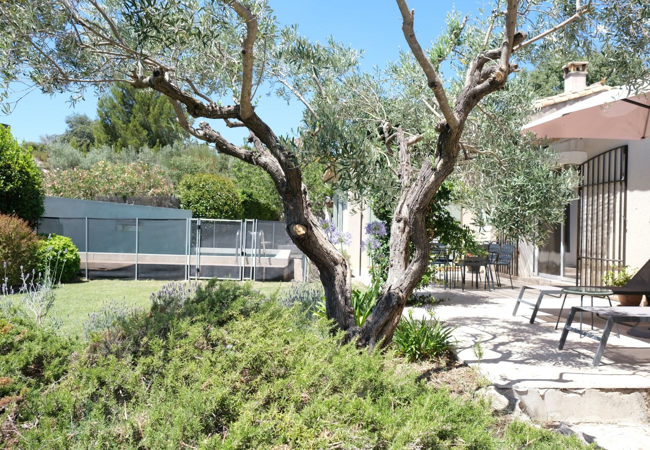 House in Aureille - Vacation rental house with pool AUREILLE LS1-406