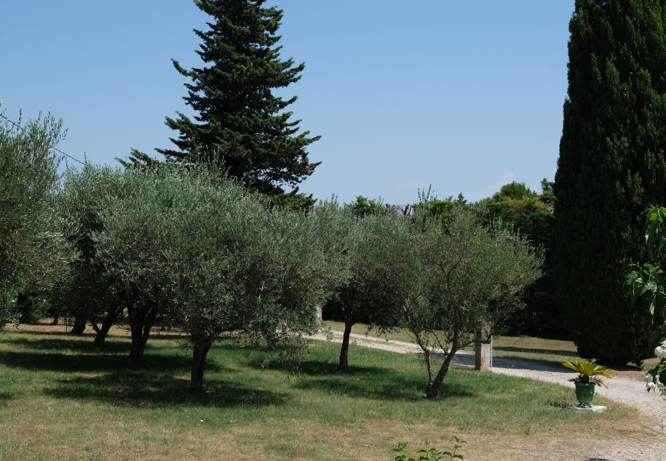 House in Saint Remy de Provence - Vacation rental SAINT REMY DE PROVENCE LS1-412