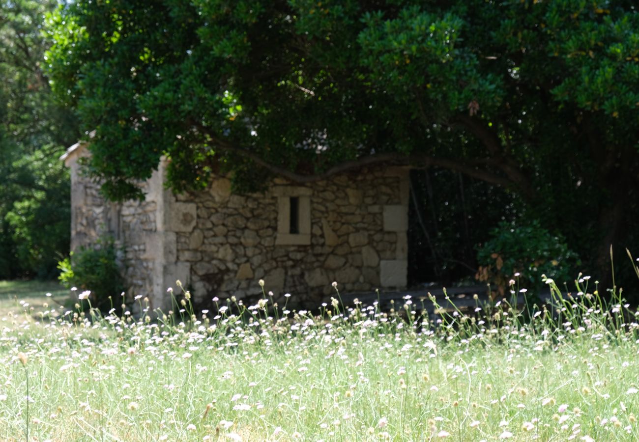 House in Saint Remy de Provence - Vacation rental SAINT REMY DE PROVENCE LS1-412