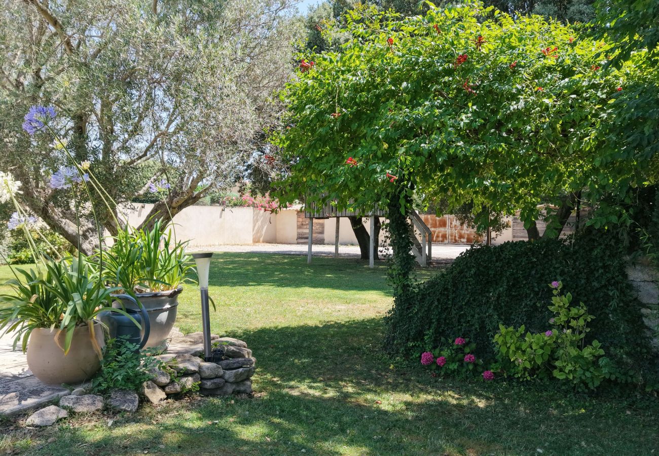Villa in Aureille - Vacation rental house with pool AUREILLE LS1-417