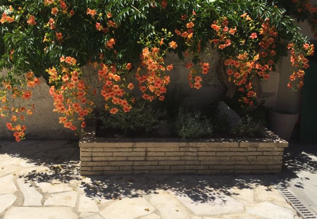 House in Sénas -  Vacation rental house with pool SENAS LS1-316 House in Sénas -  Vacation rental house with pool SENAS LS1-316