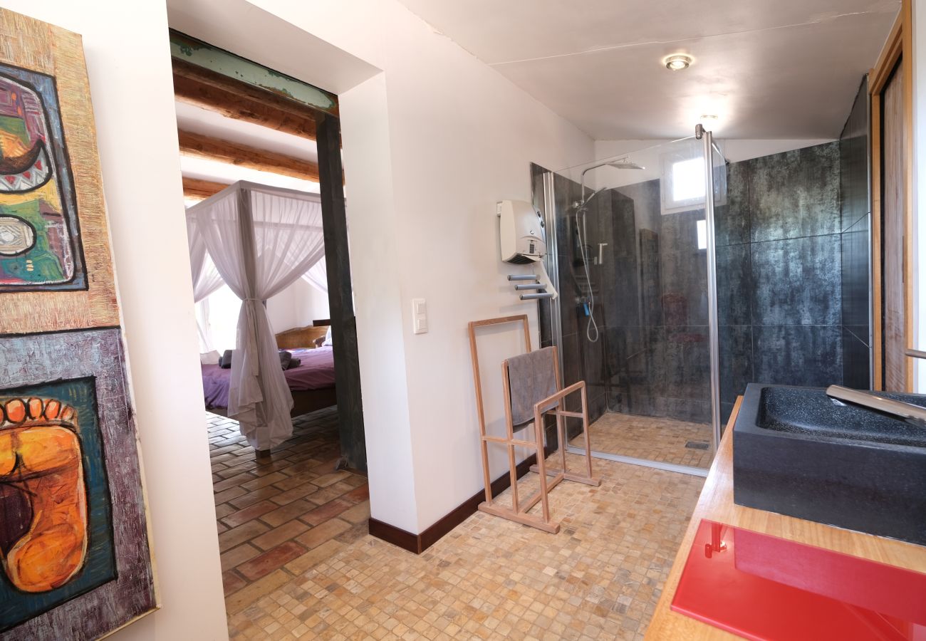 Villa in Aureille - Vacation rental house with pool AUREILLE LS1-423