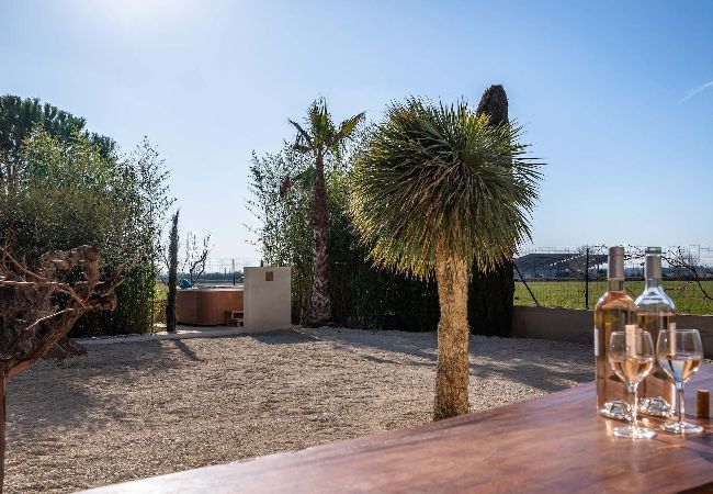 House in Arles - Vacation rental house with pool MOULES LS3-299 House in Arles - Vacation rental house with pool MOULES LS3-299