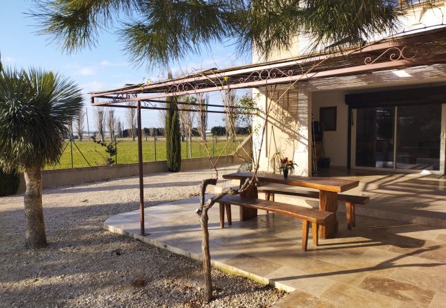 House in Arles - Vacation rental house with pool MOULES LS3-299 House in Arles - Vacation rental house with pool MOULES LS3-299
