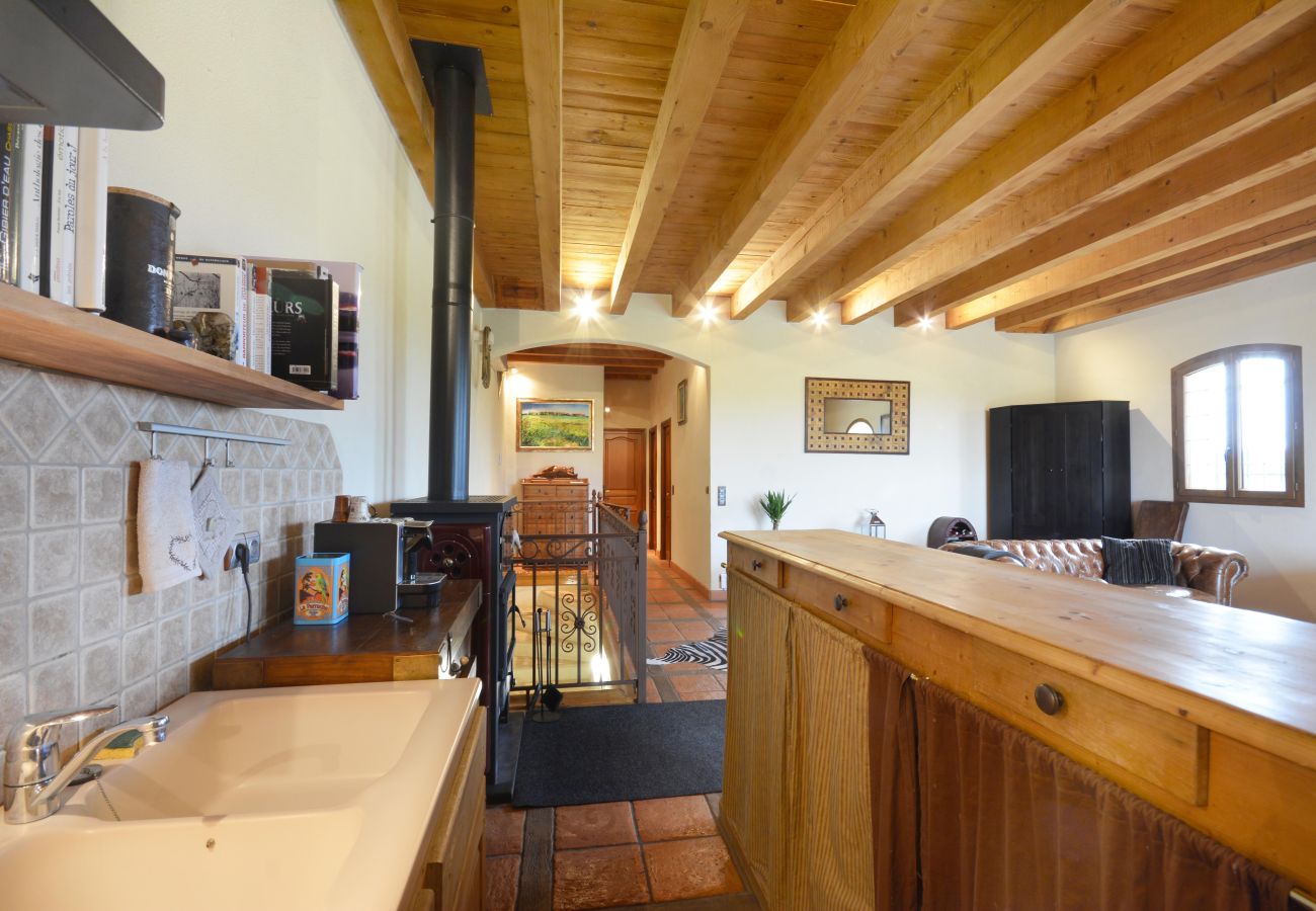 House in Arles - Vacation rental house with pool MOULES LS3-299